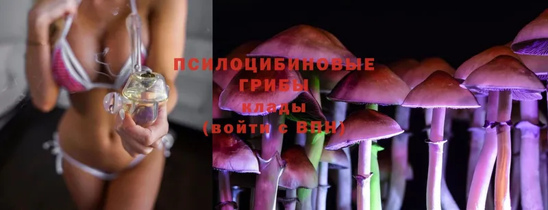 Псилоцибиновые грибы MAGIC MUSHROOMS  Волосово 